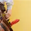 Handyman repair service in Tallahassee, FL for home fixes and improvements